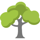Stafford Tree Removal Service