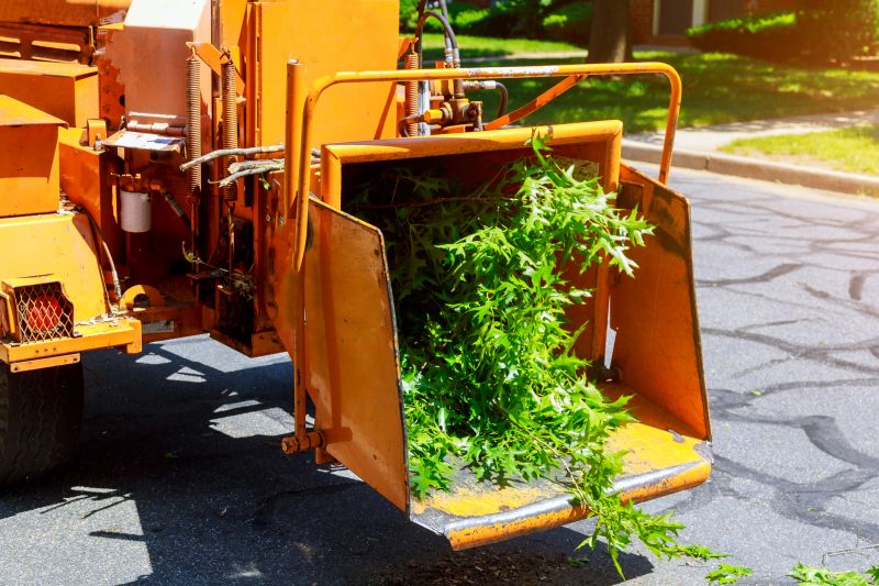 Tree Removal