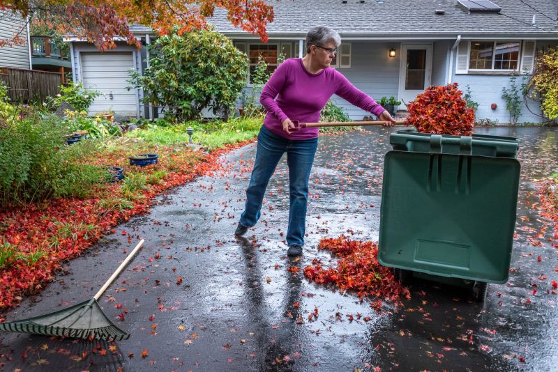 Clean Yard After Leaf Removal