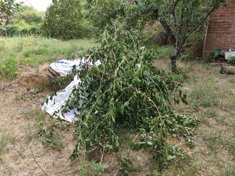 Clearing Debris