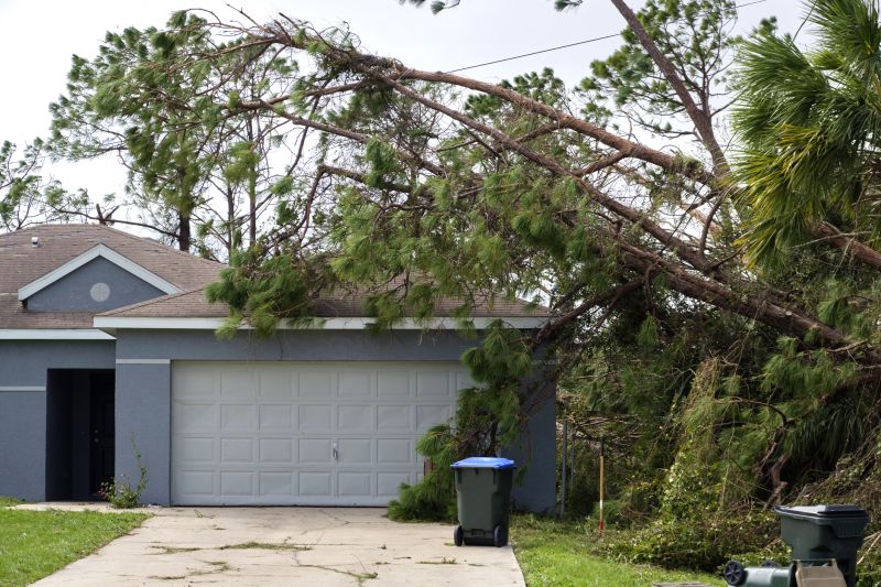 Storm Damage Response