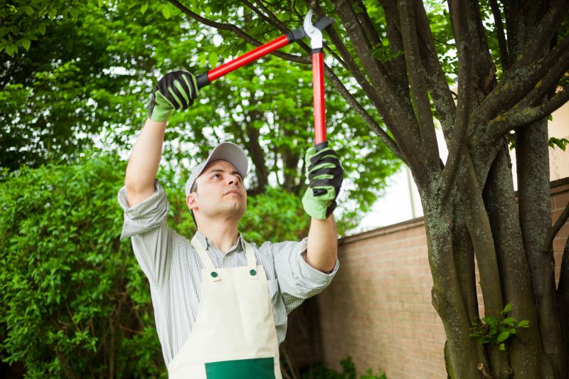 Assessing Tree Health Year-Round
